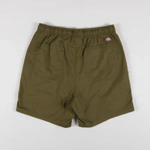 Dickies Pelican Rapids Short Dark Olive